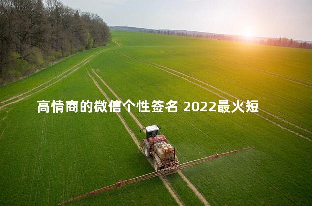 高情商的微信个性签名 2022最火短句个性签名